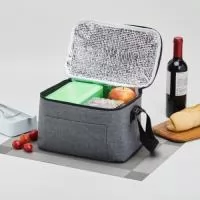 Descrição: Bolsa térmica 6 litros de poliéster. Contém bolso frontal com zíper e alça transversal regulável em nylon (não removível).  Altura :  15 cm  Largura :  26 cm  Profundidade :  17 cm