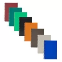 Caderno A5 plástico com wire-o metálico. Capa em PP, contém aproximadamente 80 folhas brancas com pauta.