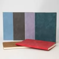 Caderno B5 com capa feita em PU. Contém aproximadamente 120 folhas marfim com pauta e marcação do número de linhas em cada folha. Seja para anotações do dia a dia, estudos, ou para soltar a criatividade, este caderno é o parceiro ideal.