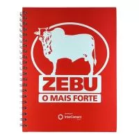 Caderno