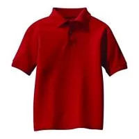 Camisa polo