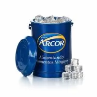 Cooler promocional com capacidade para 08 latas, com alça fixa e isolante térmico. Disponível em várias cores. Gravação da logomarca através de adesivo com impressão digital já inclusa.