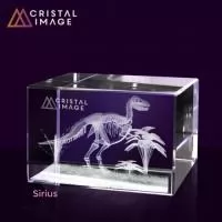 Bloco cristal diversos formatos com gravação interna 2D ou 3D feita a laser