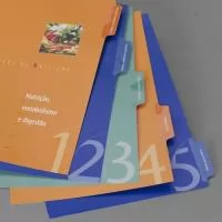 Divisórias (impressão 4 x 0) Plastificação incolor da 