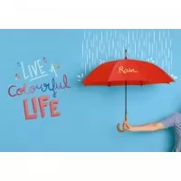 Guarda chuva