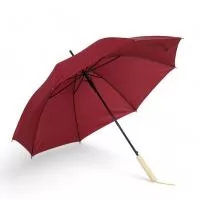 Guarda chuva