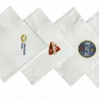 Guardanapo descartável