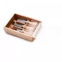 Kit acessórios para queijo
