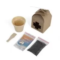 Kit costura