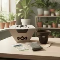 Kit planta