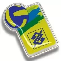 Pin