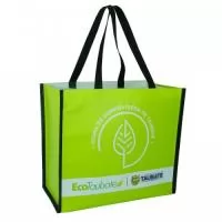 Sacola ecológica